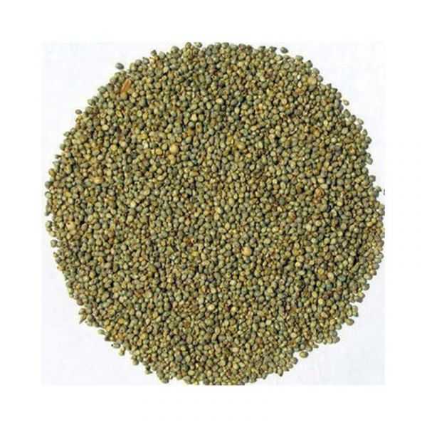 Green Millet Bajra 15kg Bulk Bag