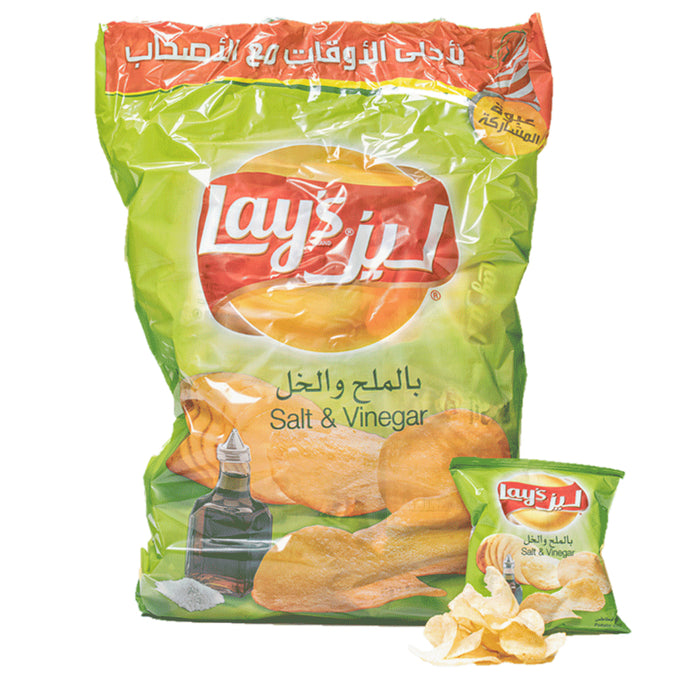 Lays Chips Salt & Vinegar 21Pcs x 14g