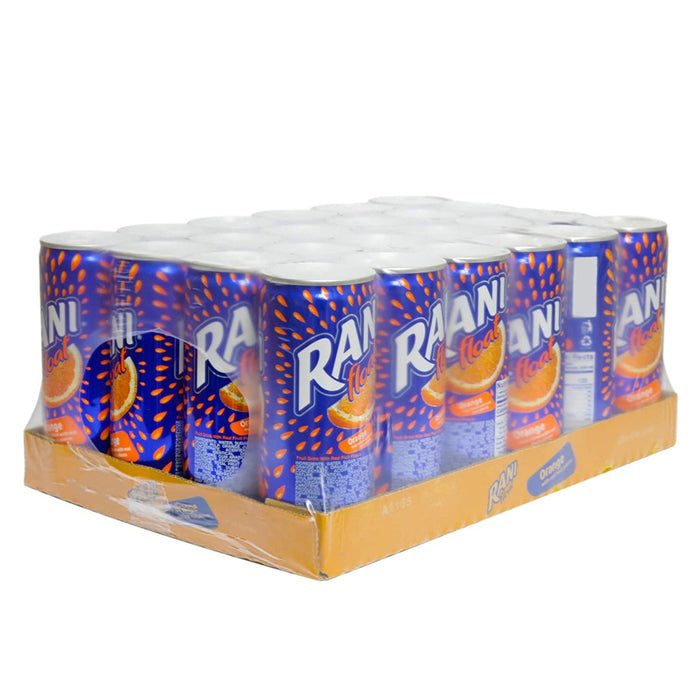 Rani Float Orange Fruit Drink 24 x 240ml