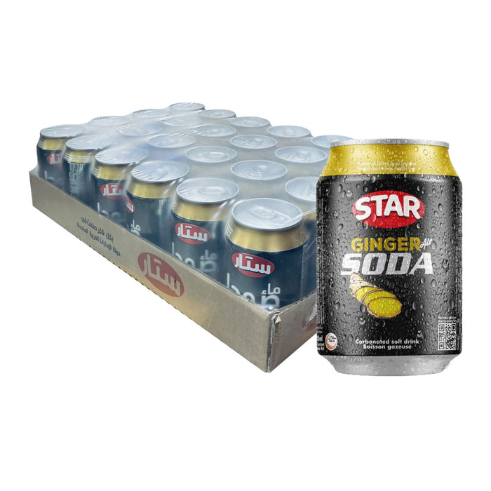 Star Ginger Soda 300ml x 24